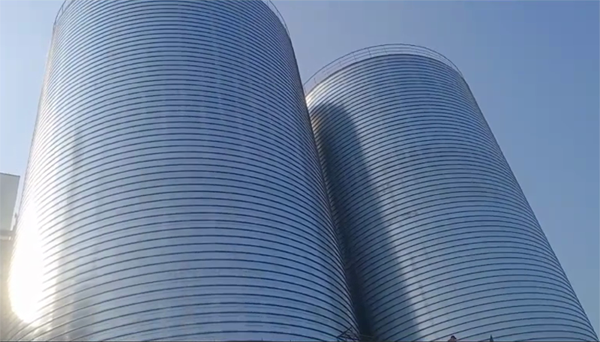 老城镇2座混凝土高架卷板仓